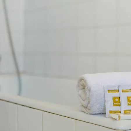 أفينير مونتمارتريه فندق 2*